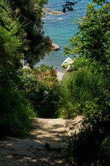 Path to Moon bay in Slovenia with trees