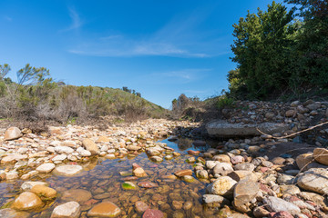 creek in the navajo canyon in San Diego