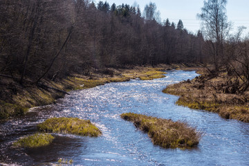 Beautiful landscape with a small river flows through the forest.  Early spring time, bright sunny day