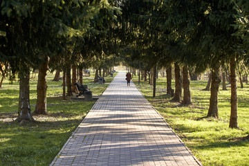 Footpath in the park extending into the distance. The shadow of man is far away.