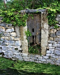 yo  soy la puerta de las ovejas, el que por mi entra sera salvo