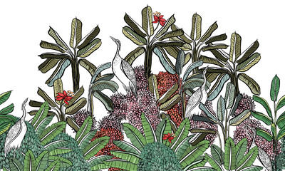 Obraz premium Panorama Landscape View Tropical Wallpaper Design, Crane Birds Exotic Wildlife in Palm Trees Blooming Pink Bushes, Wildlife Botanical Print on White Background