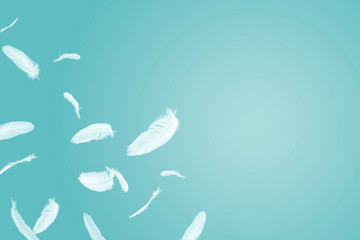 white bird feathers floating in the air with copy space, feather abstract background