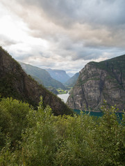 Norwegian Fjord