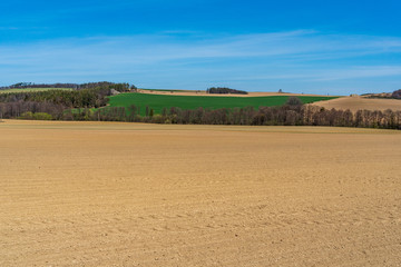 Fototapeta na wymiar Agricultural landscape, arable crop field