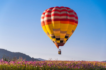 Fototapeta premium Close up hot air balloon flying up on cosmos field with blue sky background