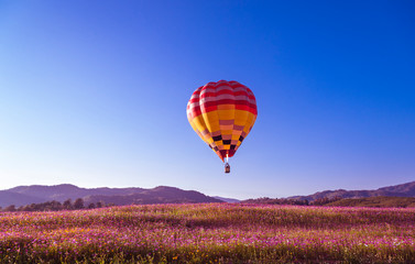 Obraz premium Close up hot air balloon flying up on cosmos field with blue sky background