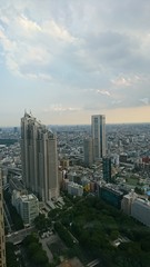 東京都庁の展望台からの景色