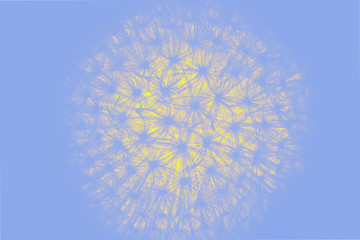 Bright yellow glowing fluffy dandelion on blue background