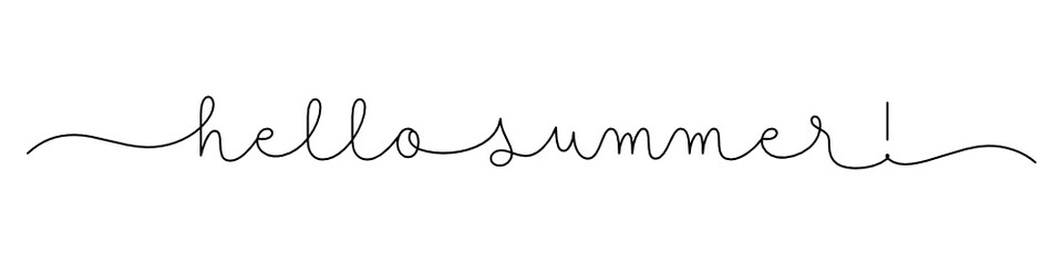 HELLO SUMMER! black vector monoline calligraphy banner with swashes