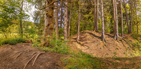 Keltenschanze in Germering hinter dem Germeringer See, Hügel Wald 