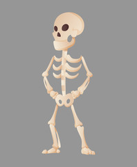 Funny cartoon skeleton posing while standing. Vector bony character. Human bones illustration skeletal. Dead man on color background