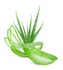 Aloe vera slice on white background.