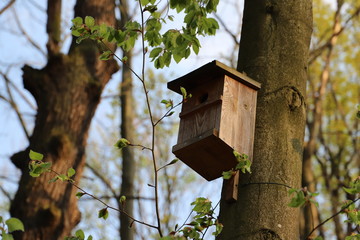 Nistkasten im Wald