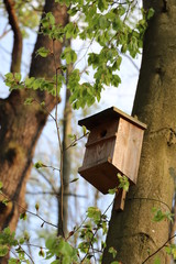 Nistkasten im Wald