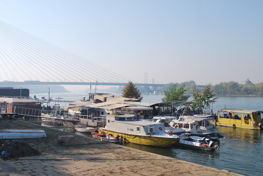 boats in the harbor