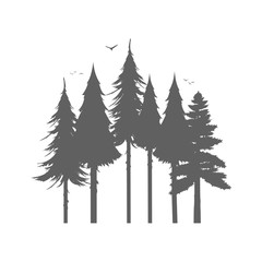 Fototapeta premium Forest silhouette on a white background. Vector silhouette of trees and birds. Icholated.