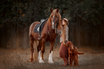 Fototapeta na wymiar Beautiful long-haired blonde young woman in English style with red draft horse, Irish setter and Weimaraner dogs in autumn forest