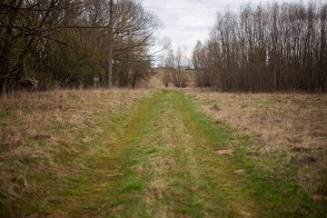 country road in early spring