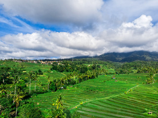 Tourist destination-Bali. Rice terraces and tropical forest in Bali. Aerial view of the Jatiluwih rice terraces.