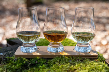 Tasting of scotch single malt whisky from Islay island, most intensely flavoured of all whiskies in Scotland