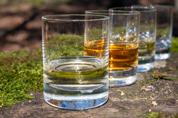 Tasting of scotch single malt whisky from Islay island, most intensely flavoured of all whiskies in Scotland