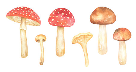 Watercolor Mushrooms Set