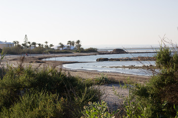 A beautiful landscape of a wild beach surrounded by wild vegetation and few people at the distance
