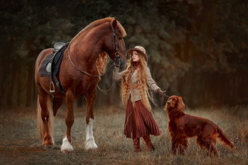 Beautiful long-haired blonde young woman in English style with red draft horse, Irish setter and Weimaraner dogs in autumn forest