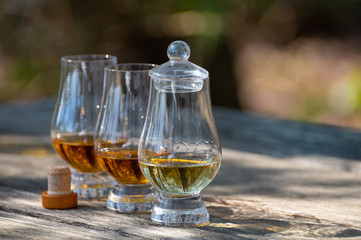 Tasting of scotch single malt whisky from Islay island, most intensely flavoured of all whiskies in Scotland