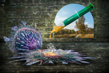 Impfstoff gefunden, Virus vernichtet ! Rückkehr zur Normalität.