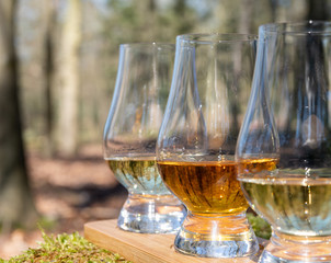 Tasting of scotch single malt whisky from Islay island, most intensely flavoured of all whiskies in Scotland