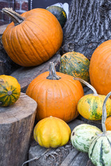 Halloween pumpkins pile or stack mix assortment, during food festival, at the market.