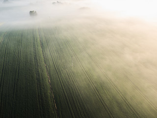 country side