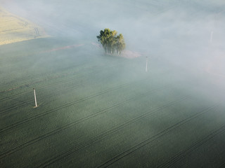 country side