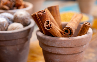 Indian spices collection, dried aromatic cinnamon barks and another spices in clay bowls