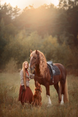 Beautiful long-haired blonde young woman in English style with red draft horse, Irish setter and...
