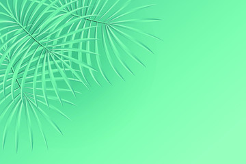 background with tropical palm leaves