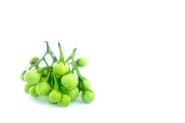 Green aubergine eggplant isolated on white background