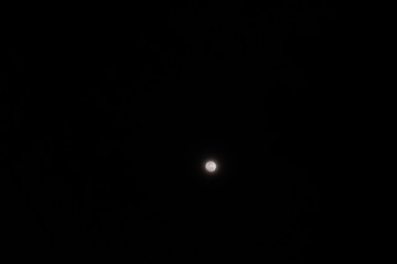 Full moon in the dark night.