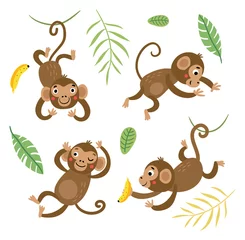 Foto op Plexiglas Aap Leuke en grappige apen. Set van vector tekens.