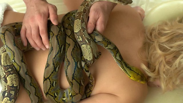 Python crawling on female back. Woman receiving snake massage. Back muscle recovery.