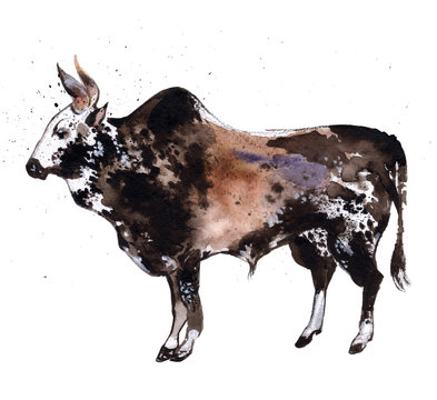 Watercolor black bull with spots