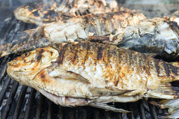 Freshly grilled fish on counter top stall, during seafood festival, street food market.
