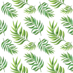 Watercolor seamless pattern with tropical leaves on white background