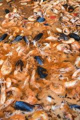 Boiled crawfish, fried crawfish, crawfish étouffée, crawfish beignets. Crayfish or crawdads