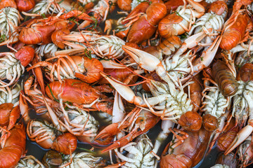 Boiled crawfish, fried crawfish, crawfish étouffée, crawfish beignets. Crayfish or crawdads