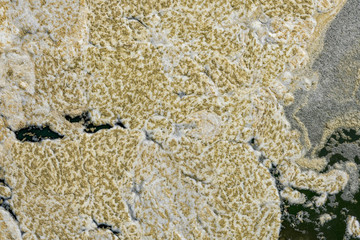 extremely polluted waters. Environmental water polution concept