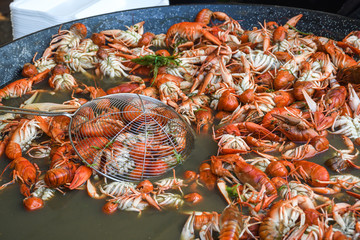Boiled crawfish, fried crawfish, crawfish étouffée, crawfish beignets. Crayfish or crawdads