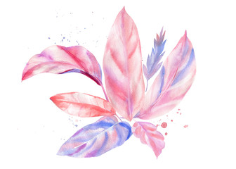 Palm pink and purple leaves, leaves of palm tree, watercolor illustration on isolated white background, greeting card